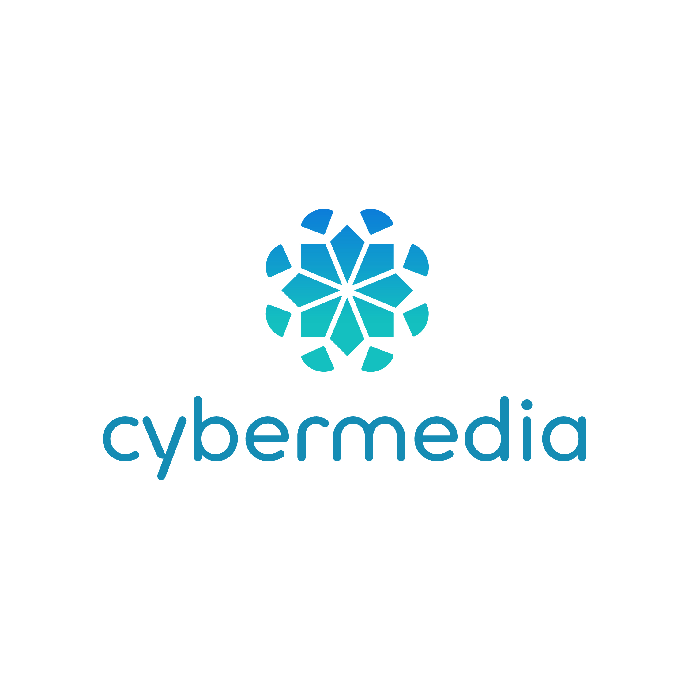 Cyber Media Center